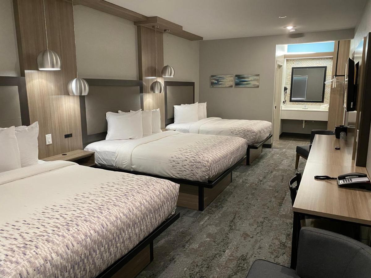 Hotel Solara I-45 & Hobby Airport יוסטון מראה חיצוני תמונה